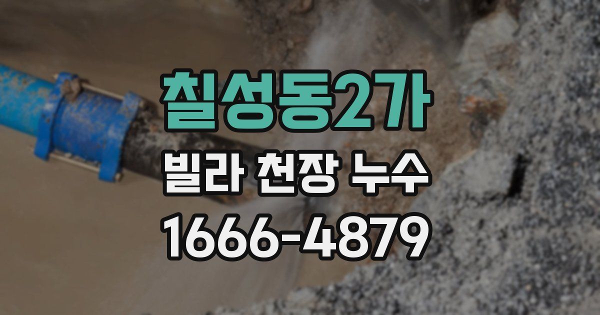 칠성동2가 빌라 천장 누수