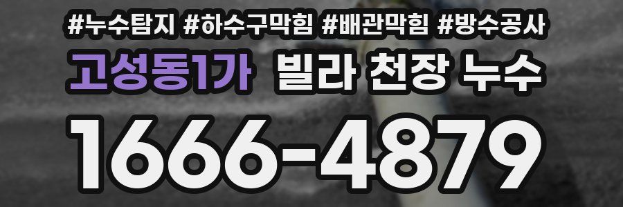 고성동1가 빌라 천장 누수