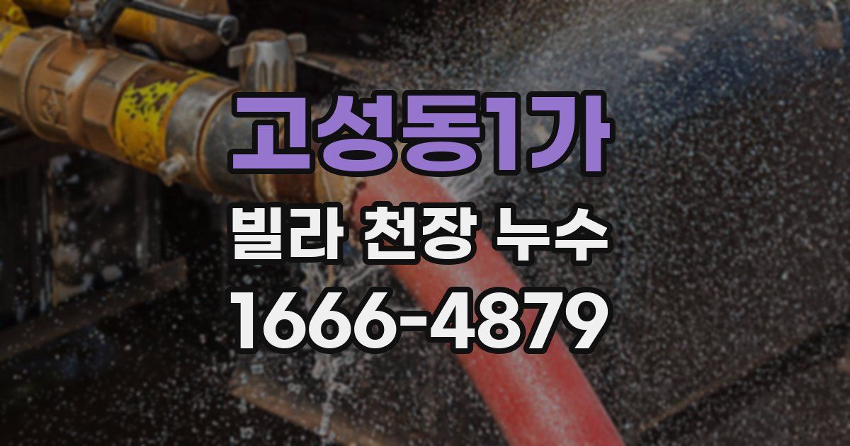 고성동1가 빌라 천장 누수