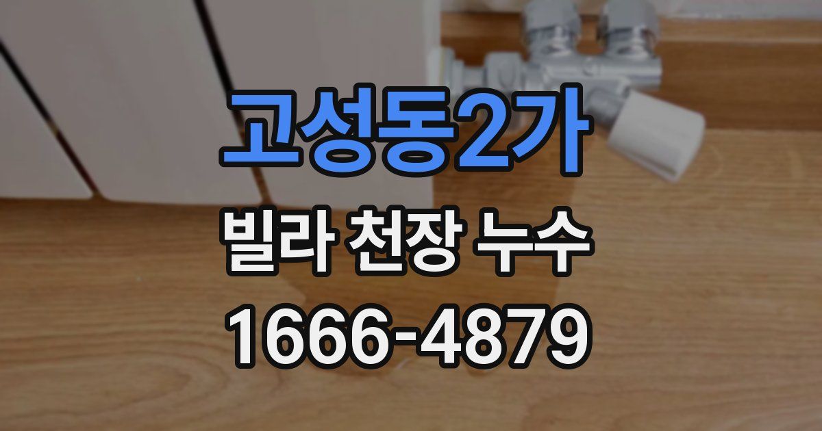 고성동2가 빌라 천장 누수