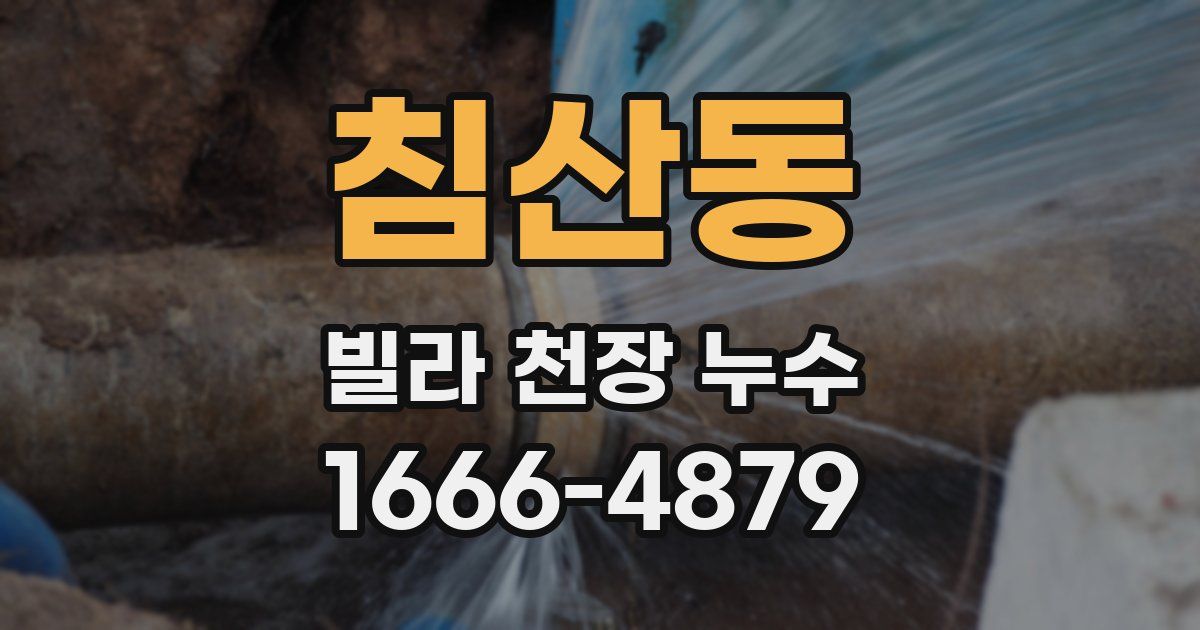 침산동 빌라 천장 누수