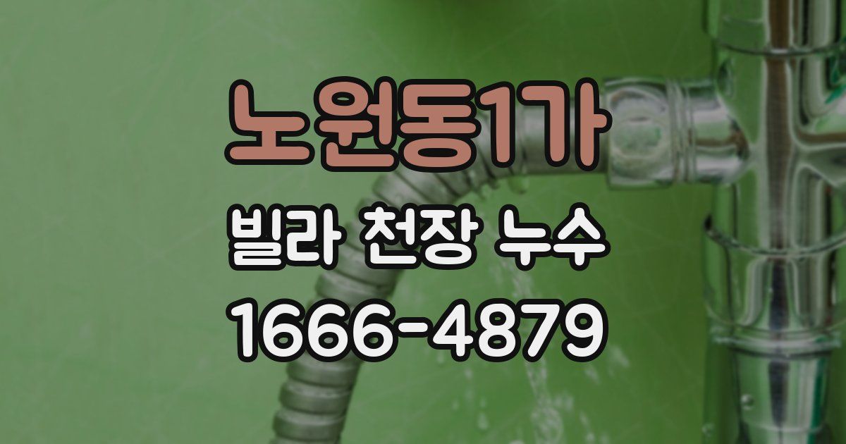 노원동1가 빌라 천장 누수