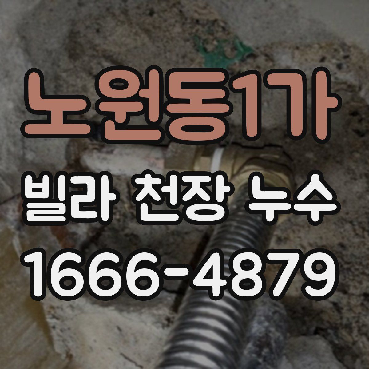 노원동1가 빌라 천장 누수