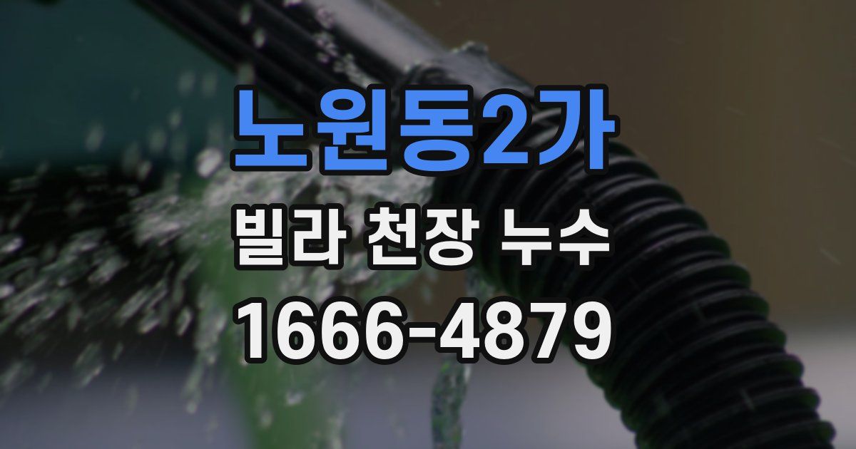 노원동2가 빌라 천장 누수