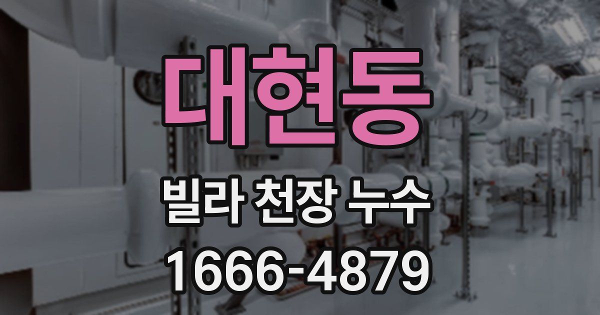 대현동 빌라 천장 누수