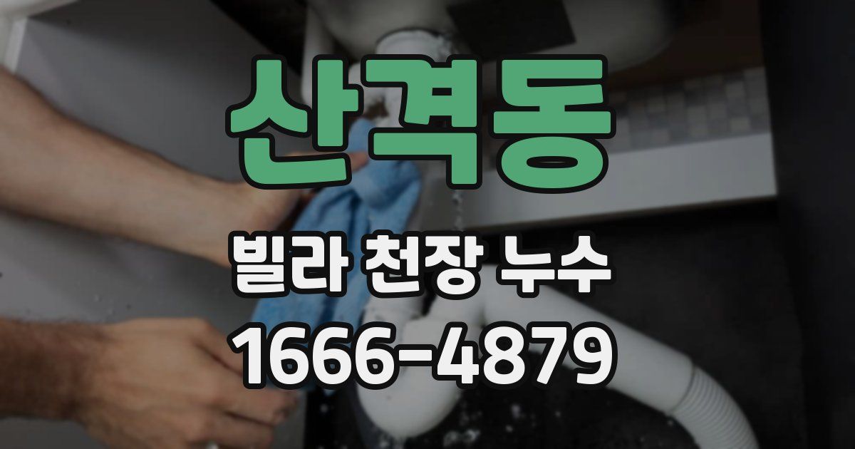 산격동 빌라 천장 누수