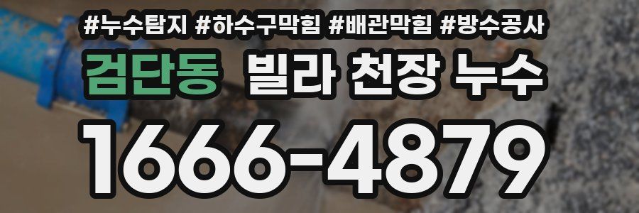 검단동 빌라 천장 누수
