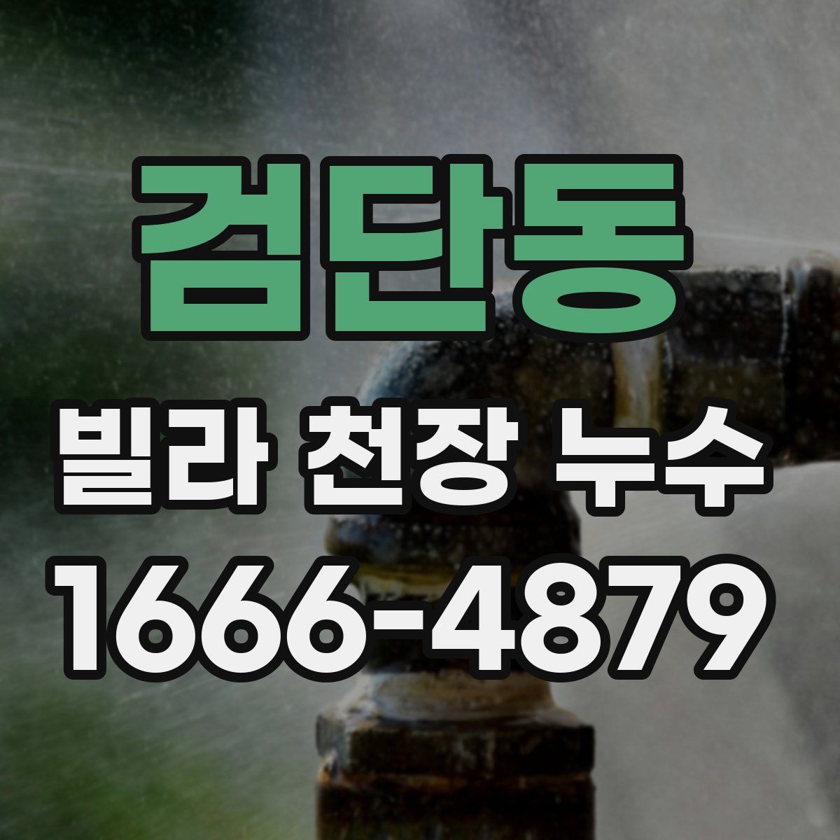 검단동 빌라 천장 누수