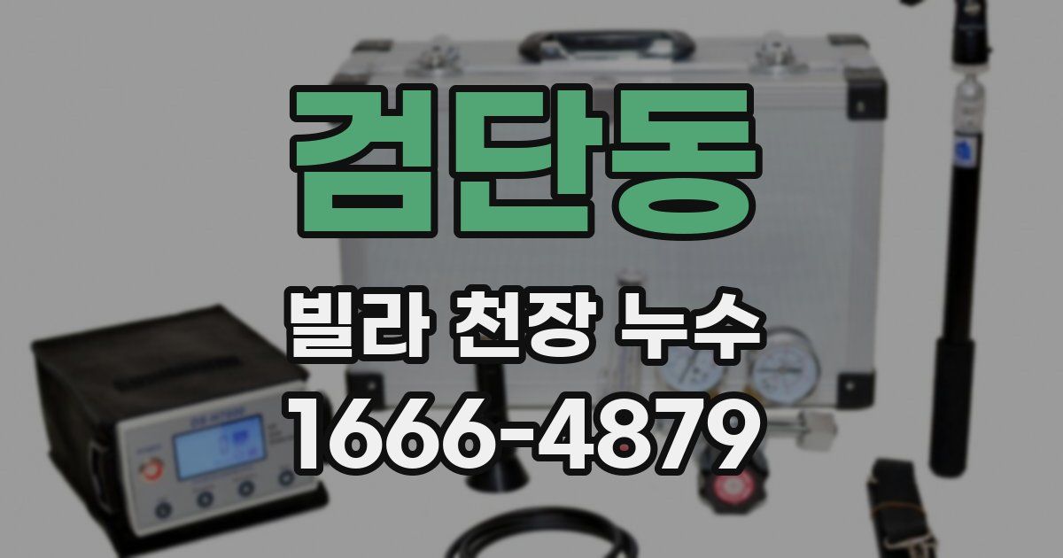 검단동 빌라 천장 누수