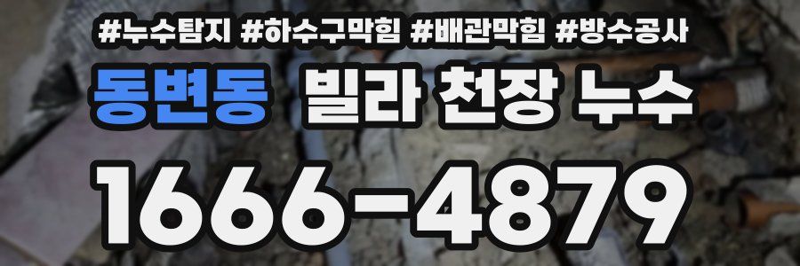 동변동 빌라 천장 누수