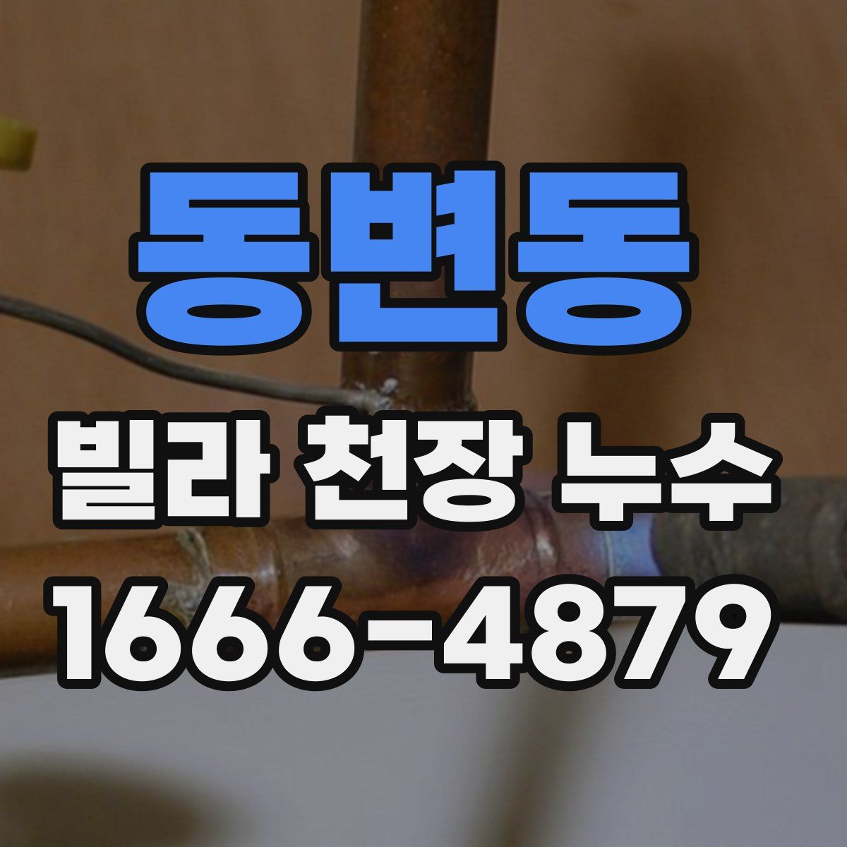 동변동 빌라 천장 누수