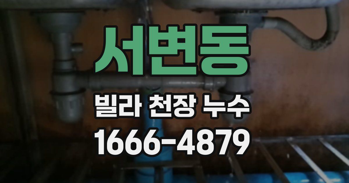 서변동 빌라 천장 누수
