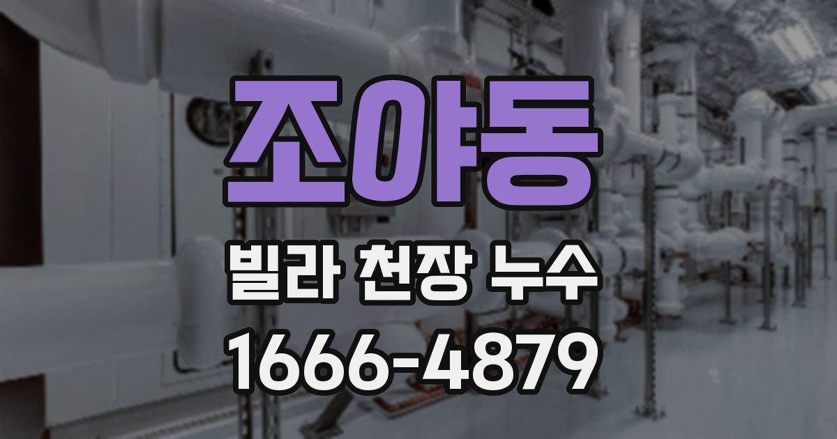 조야동 빌라 천장 누수