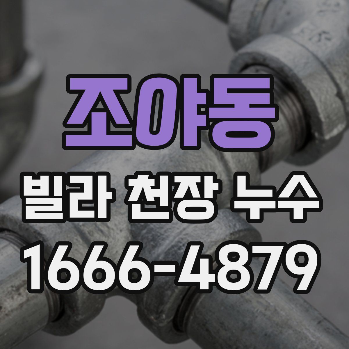 조야동 빌라 천장 누수