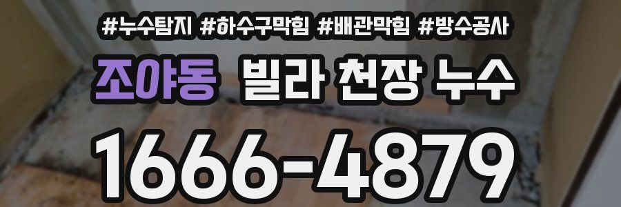 조야동 빌라 천장 누수