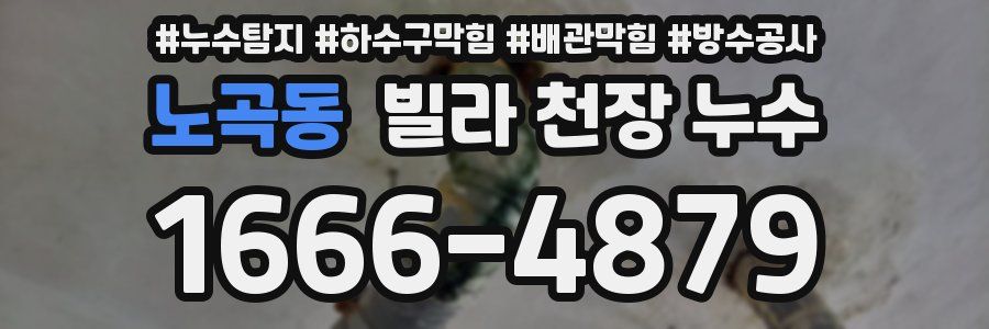 노곡동 빌라 천장 누수
