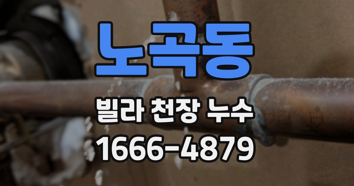 노곡동 빌라 천장 누수