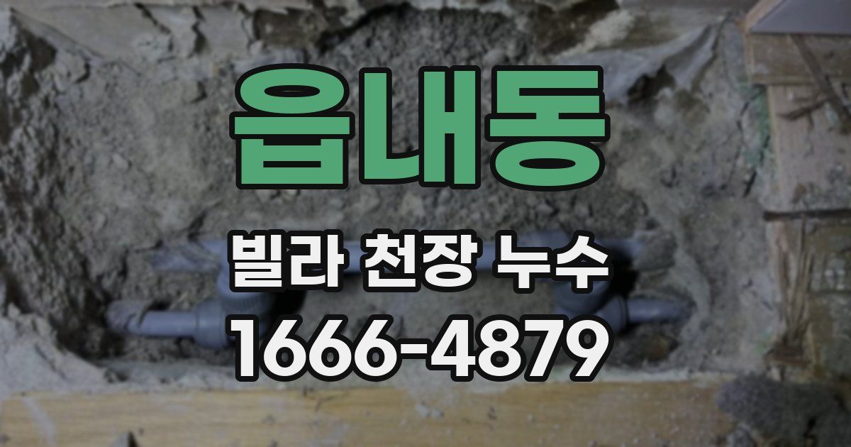 읍내동 빌라 천장 누수