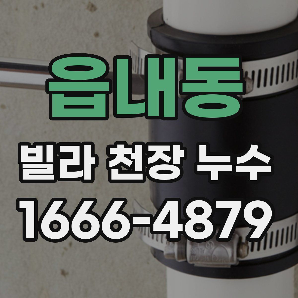 읍내동 빌라 천장 누수