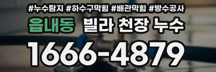 읍내동 빌라 천장 누수