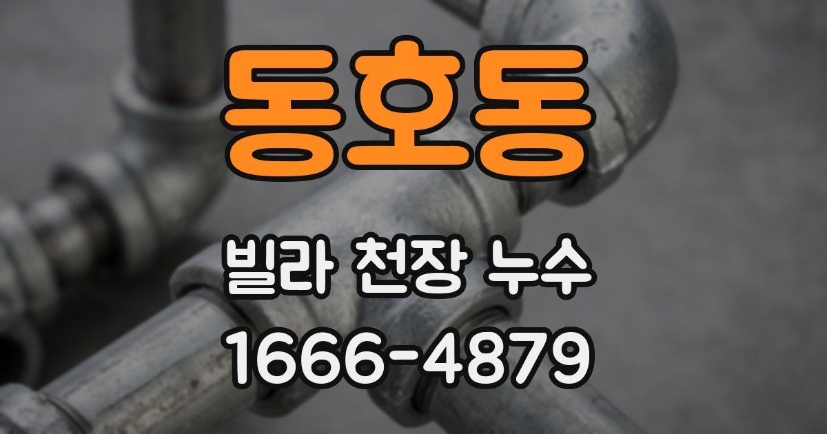 동호동 빌라 천장 누수