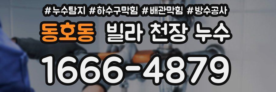 동호동 빌라 천장 누수