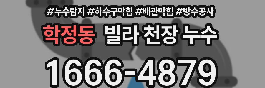학정동 빌라 천장 누수