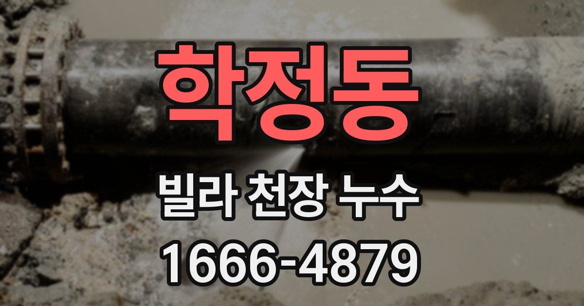 학정동 빌라 천장 누수