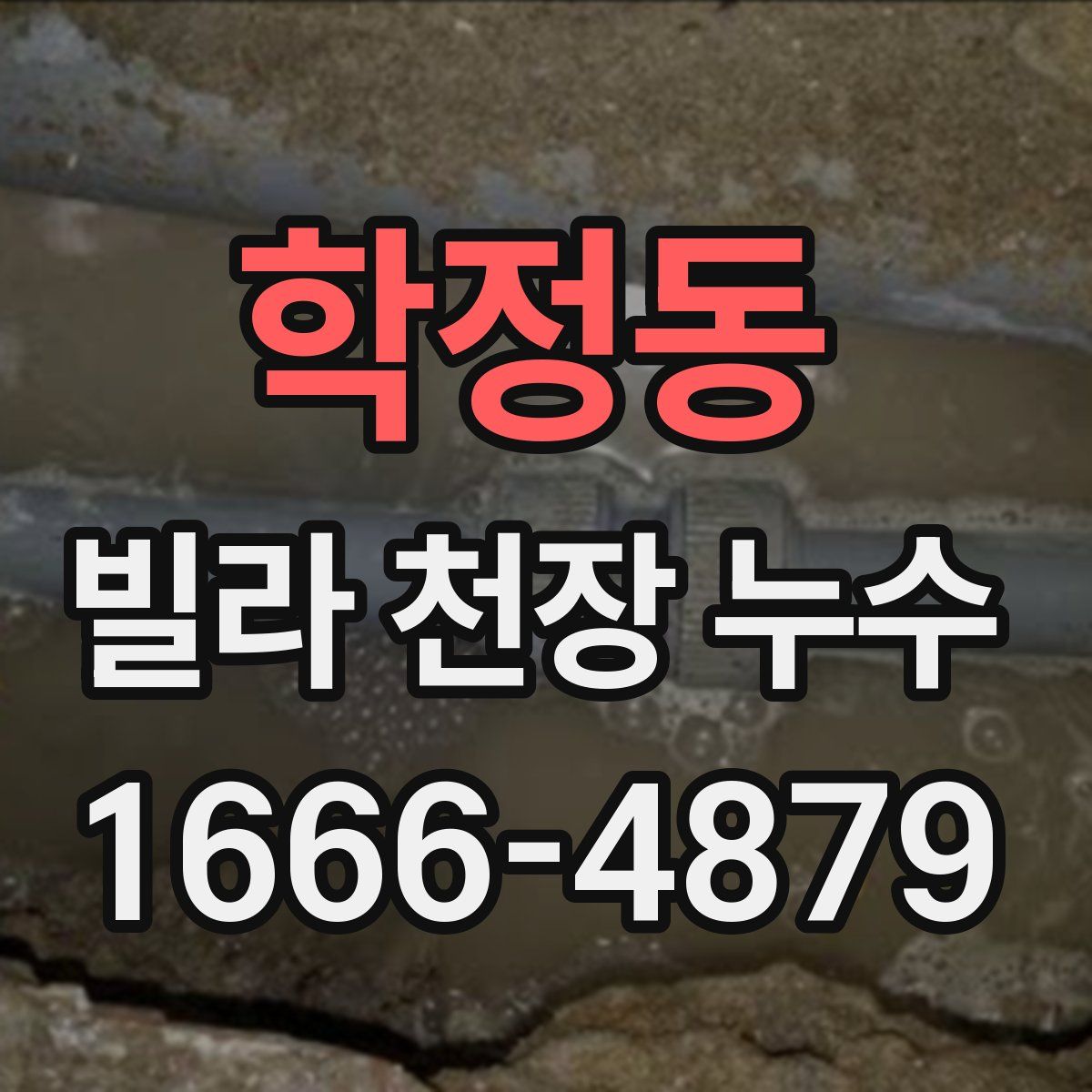 학정동 빌라 천장 누수