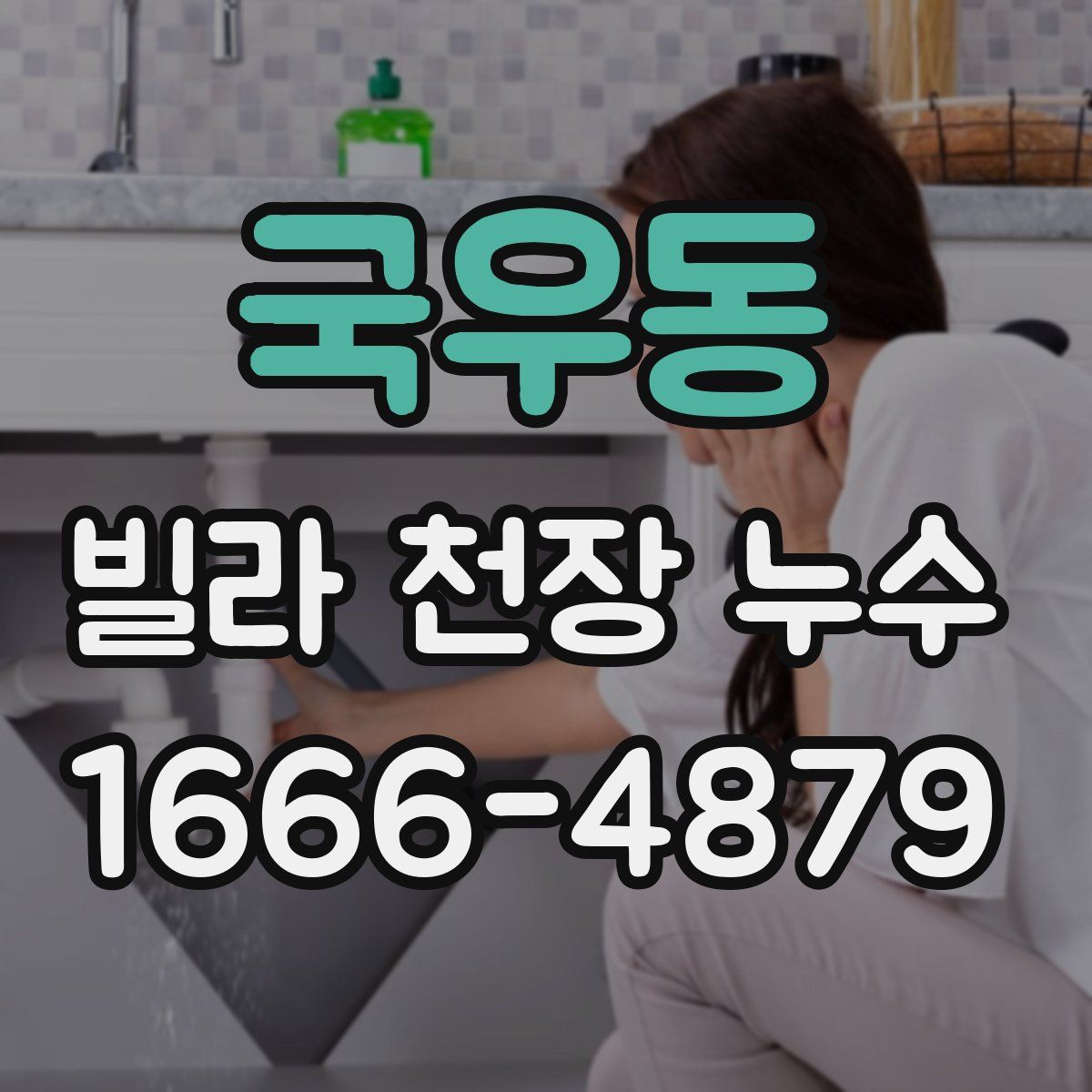 국우동 빌라 천장 누수