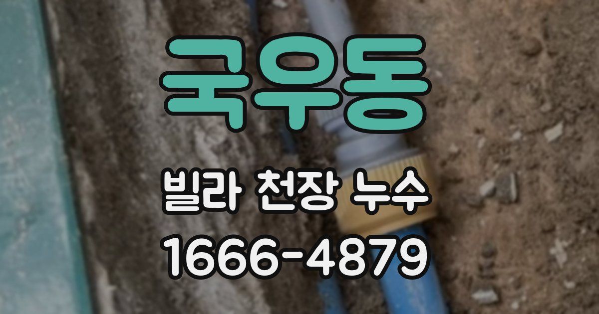 국우동 빌라 천장 누수