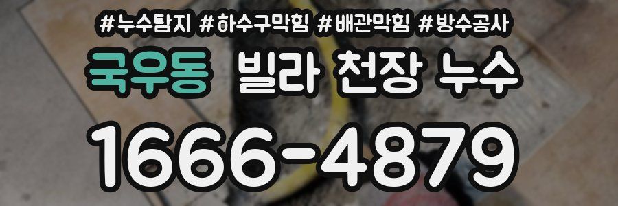 국우동 빌라 천장 누수