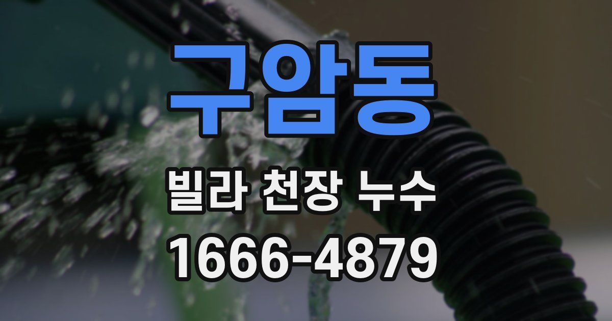 구암동 빌라 천장 누수
