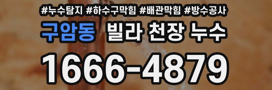 구암동 빌라 천장 누수