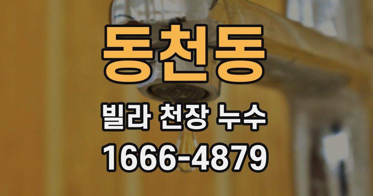 동천동 빌라 천장 누수