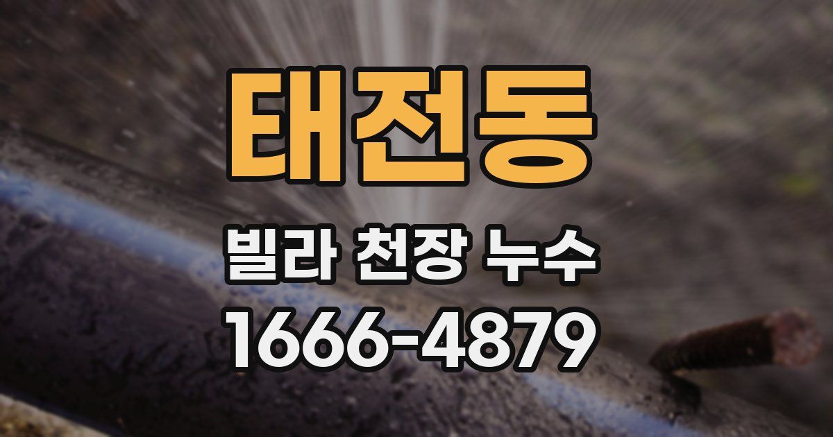 태전동 빌라 천장 누수