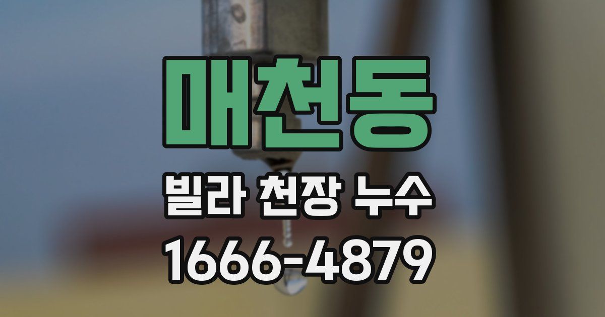 매천동 빌라 천장 누수