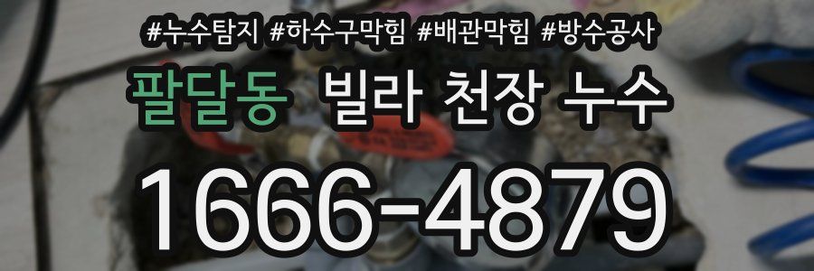 팔달동 빌라 천장 누수