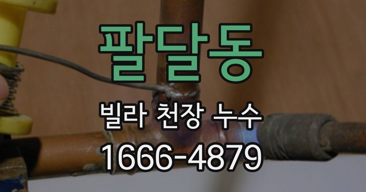 팔달동 빌라 천장 누수
