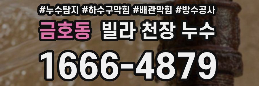 금호동 빌라 천장 누수