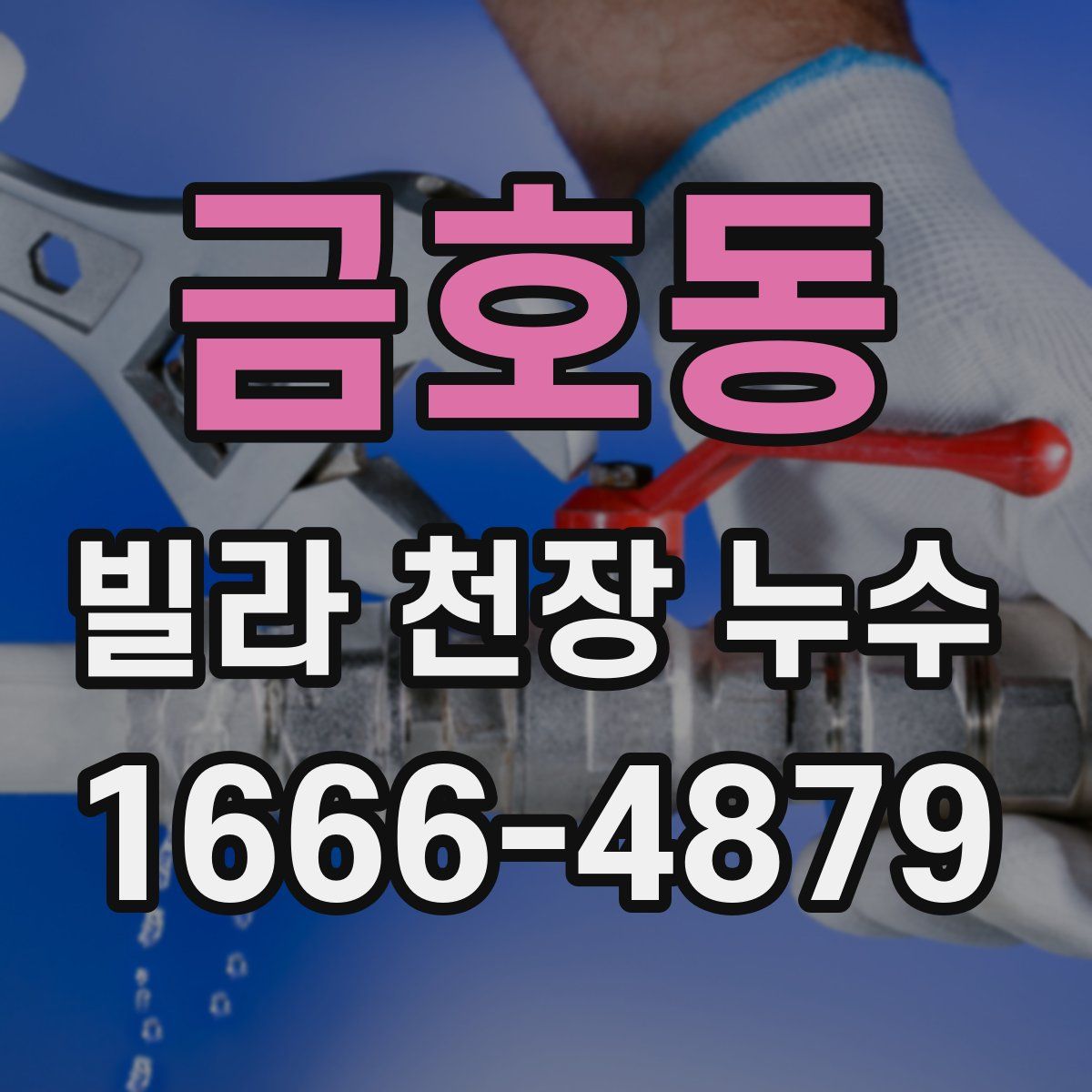 금호동 빌라 천장 누수
