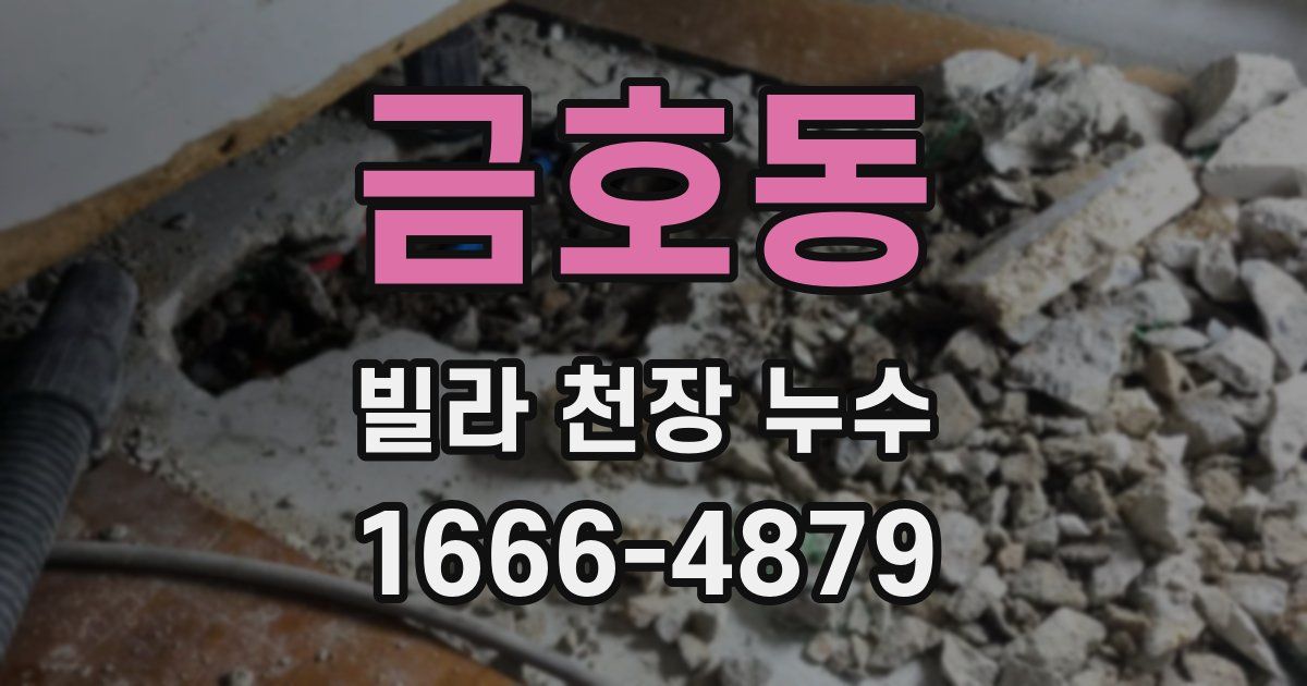 금호동 빌라 천장 누수