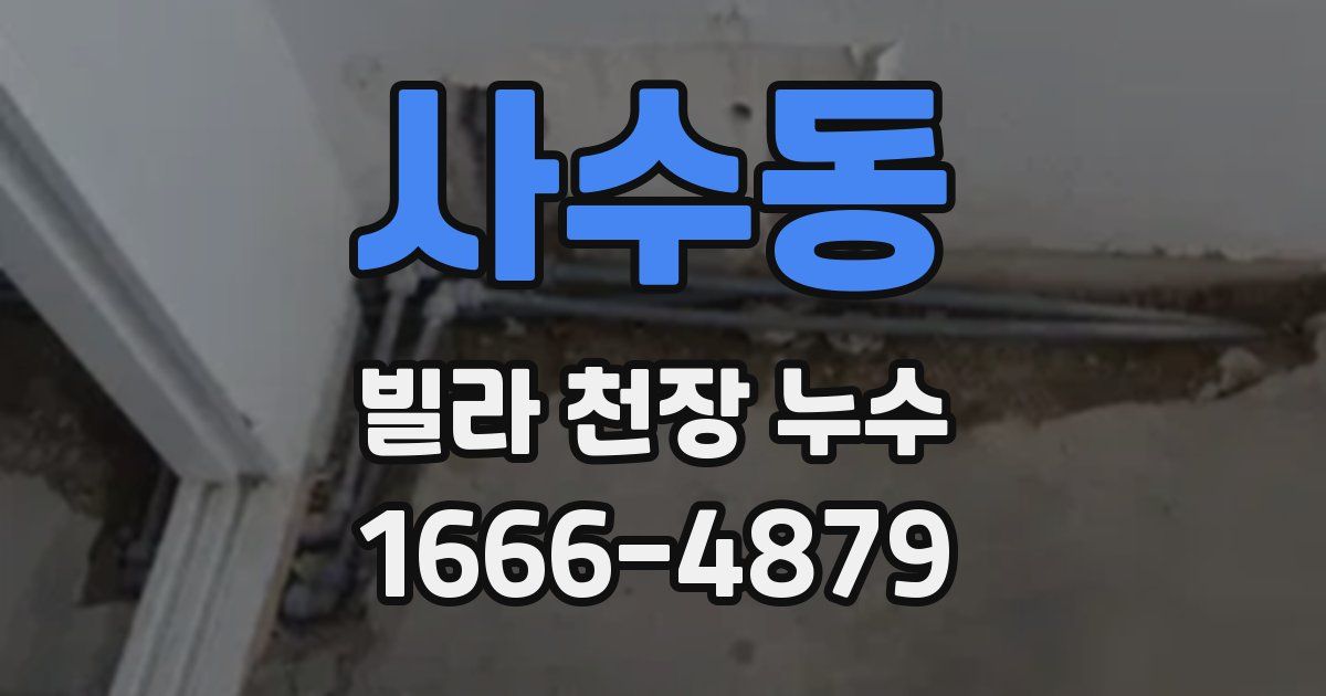 사수동 빌라 천장 누수