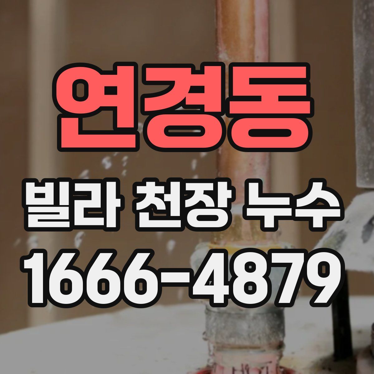 연경동 빌라 천장 누수