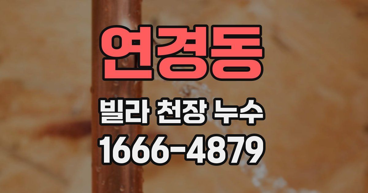 연경동 빌라 천장 누수