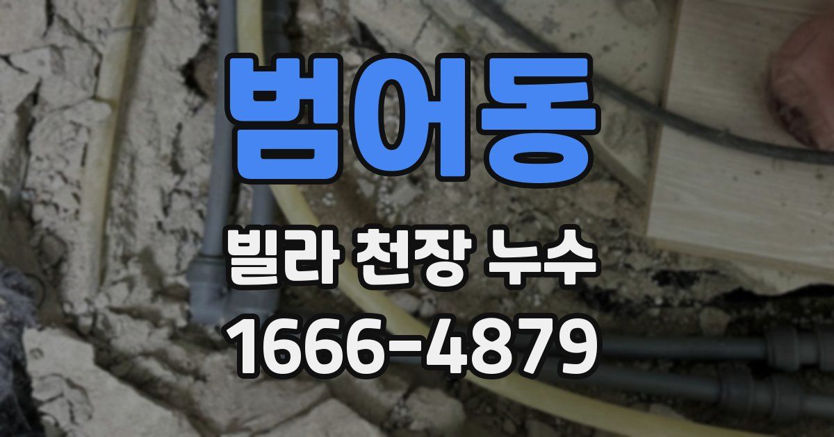 범어동 빌라 천장 누수