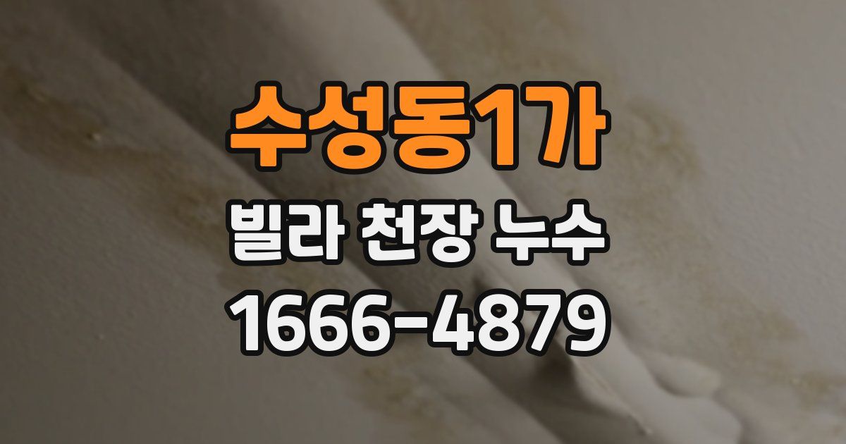 수성동1가 빌라 천장 누수