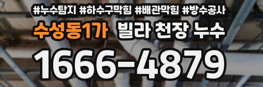 수성동1가 빌라 천장 누수