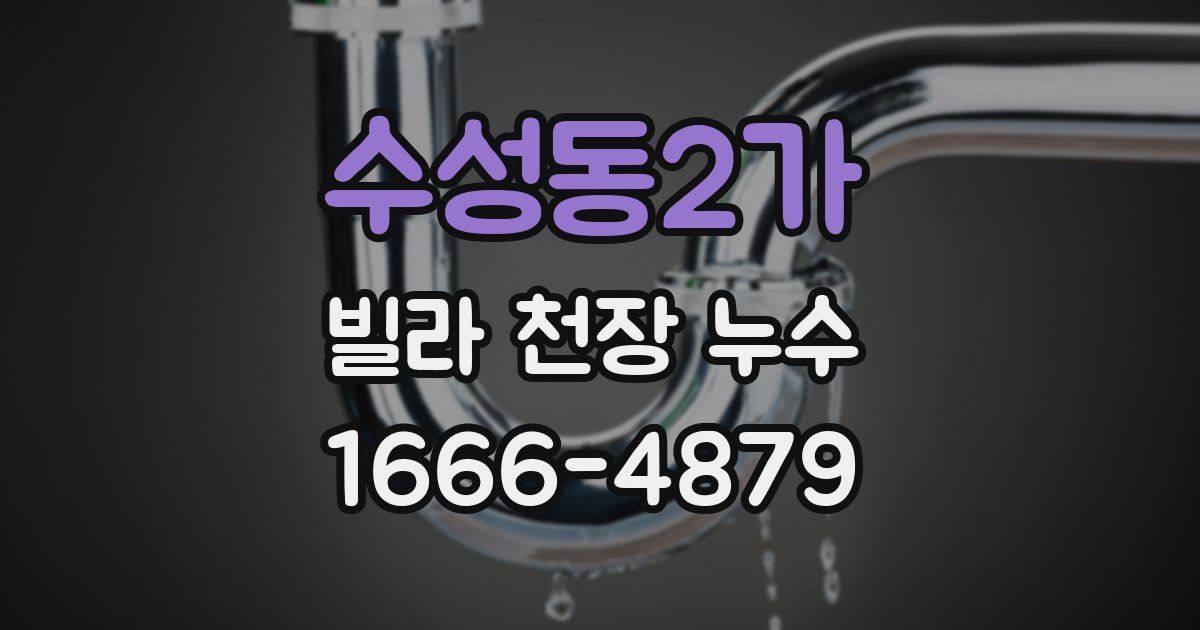 수성동2가 빌라 천장 누수