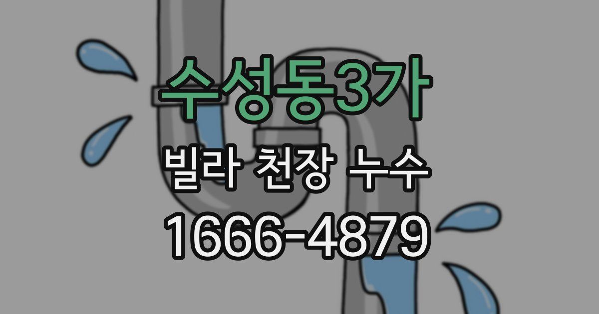 수성동3가 빌라 천장 누수